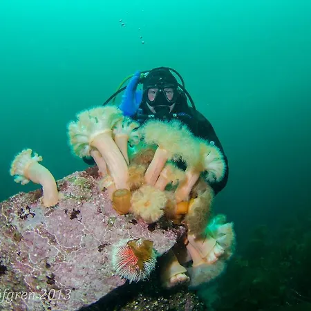 Tjeldsundbrua Maritim 別荘