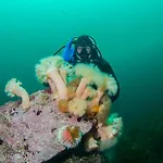 Tjeldsundbrua Maritim Casa vacanze